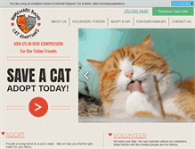 Tablet Screenshot of homewardboundcats.org